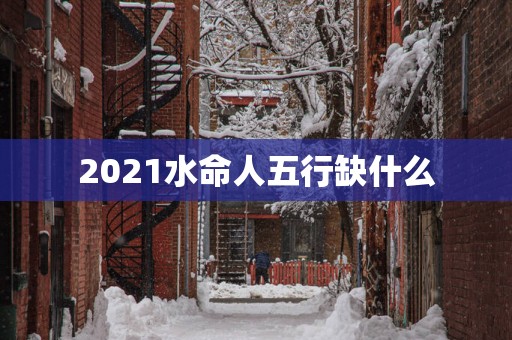 2025水命人五行缺什么