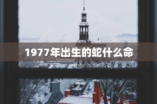 1977年出生的蛇什么命