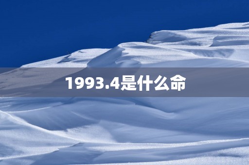 1993.4是什么命