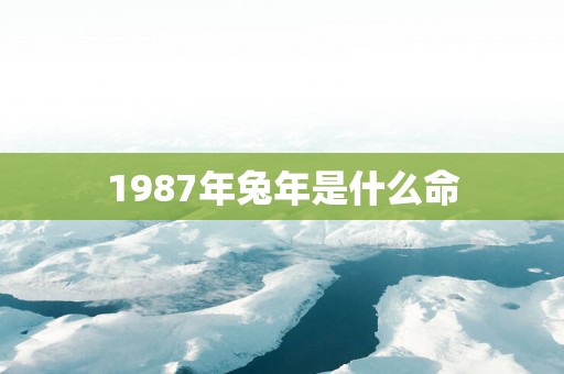 1987年蛇年是什么命