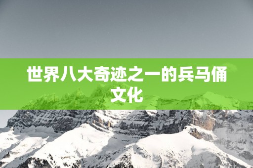 世界八大奇迹之一的兵马俑文化