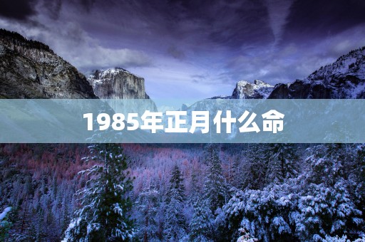 1985年正月什么命