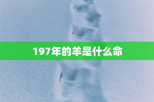 197年的羊是什么命