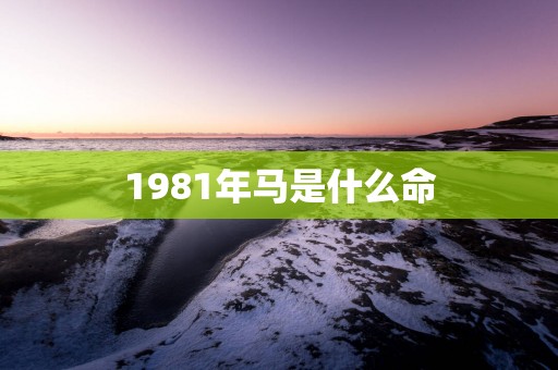 1981年马是什么命