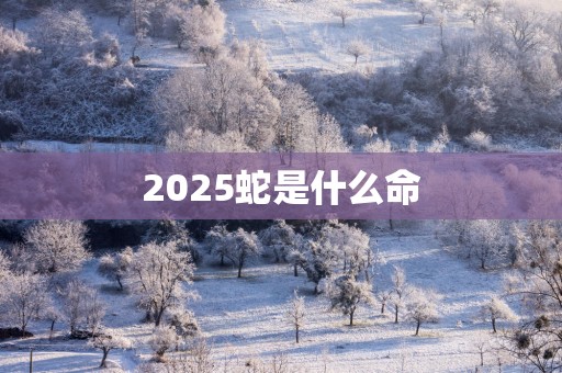 2025蛇是什么命