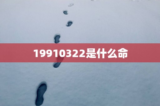 19910322是什么命