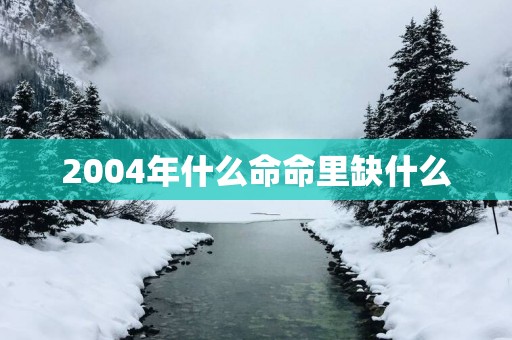 2004年什么命命里缺什么