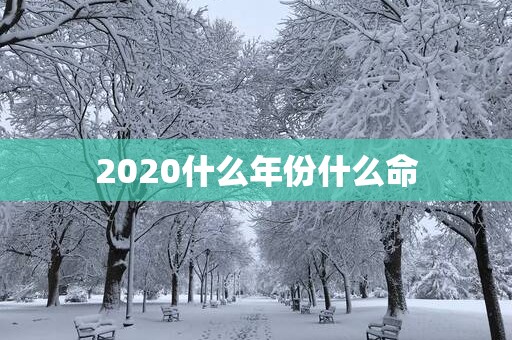 2025什么年份什么命