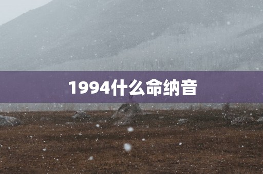 1994什么命纳音