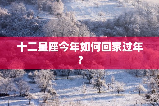 十二星座今年如何回家过年？