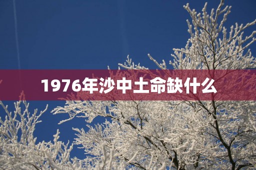 1976年沙中土命缺什么