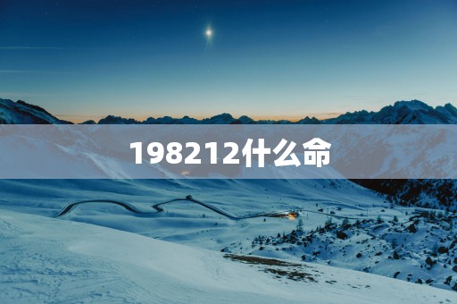 198212什么命