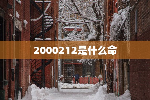 2000212是什么命