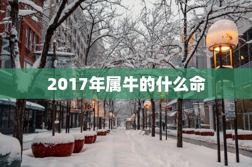 2017年属牛的什么命