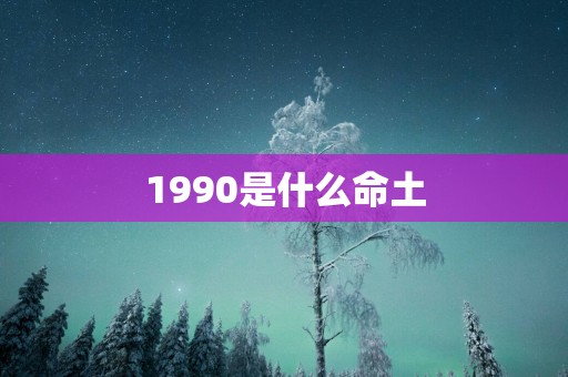 1990是什么命土
