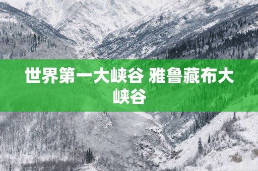 世界第一大峡谷 雅鲁藏布大峡谷