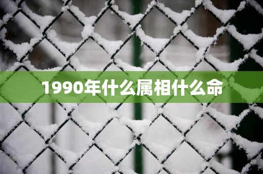 1990年什么属相什么命