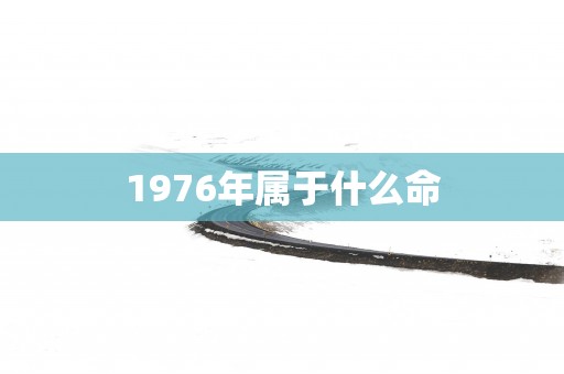 1976年属于什么命