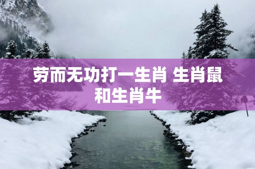劳而无功打一生肖 生肖鼠和生肖牛