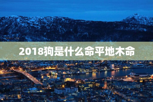2018狗是什么命平地木命