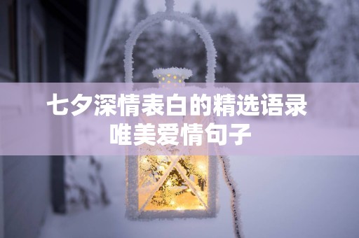 七夕深情表白的精选语录 唯美爱情句子