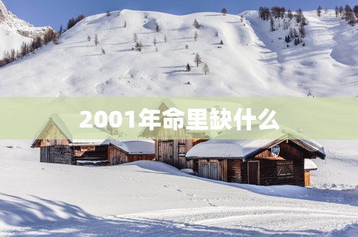 2001年命里缺什么