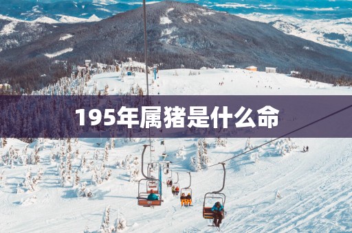 195年属猪是什么命