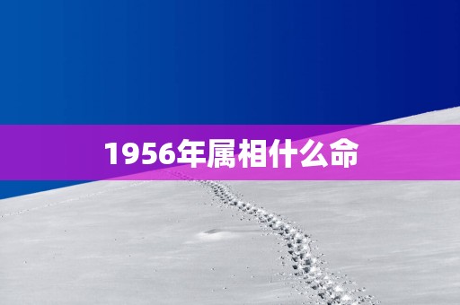 1956年属相什么命