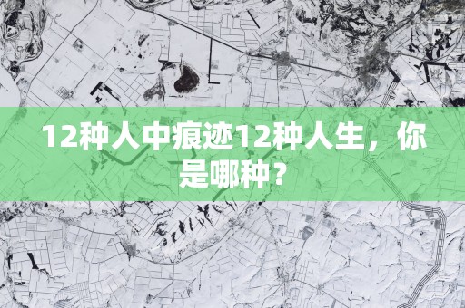 12种人中痕迹12种人生，你是哪种？
