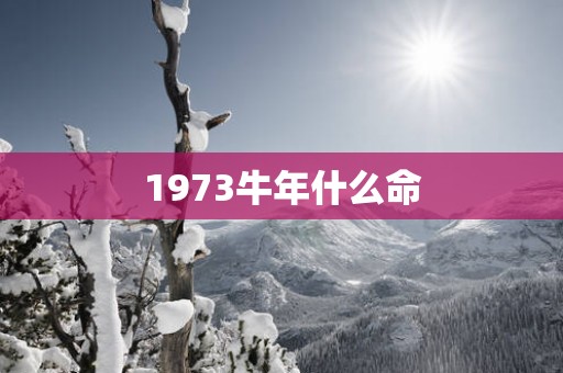 1973蛇年什么命 1973蛇年什么命
