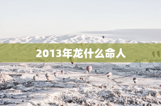 2013年龙什么命人