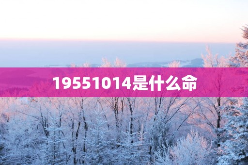 19551014是什么命