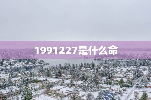 1991227是什么命