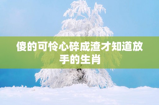 傻的可怜心碎成渣才知道放手的生肖