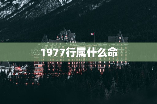 1977行属什么命