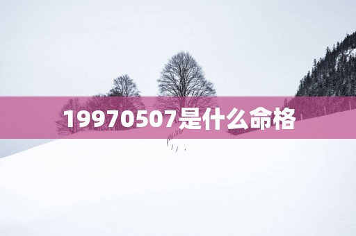 19970507是什么命格