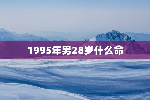 1995年男28岁什么命