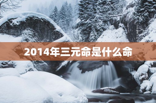 2014年三元命是什么命