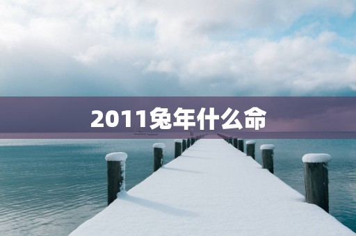 2011蛇年什么命