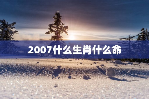 2007什么生肖什么命
