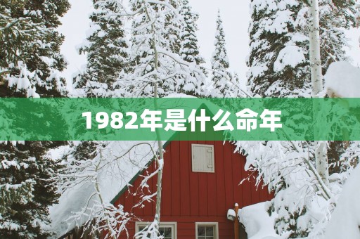 1982年是什么命年