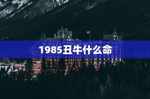 1985丑牛什么命