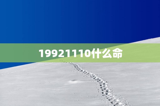 19921110什么命