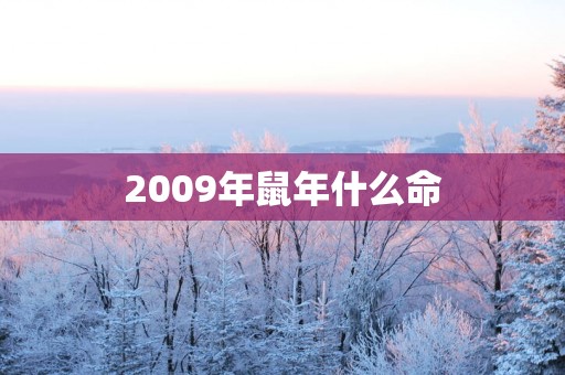 2009年蛇年什么命