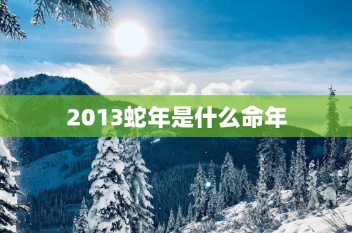 2013蛇年是什么命年