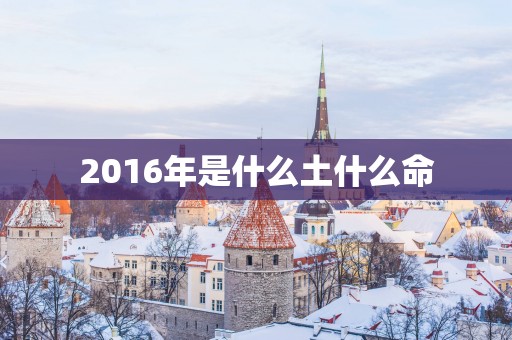 2016年是什么土什么命
