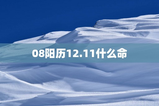 08阳历12.11什么命