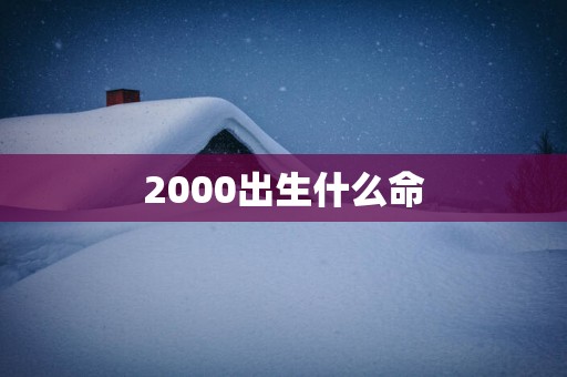 2000出生什么命