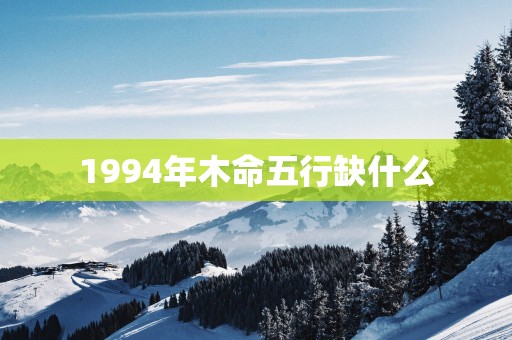 1994年木命五行缺什么