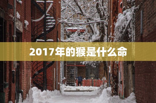 2017年的猴是什么命